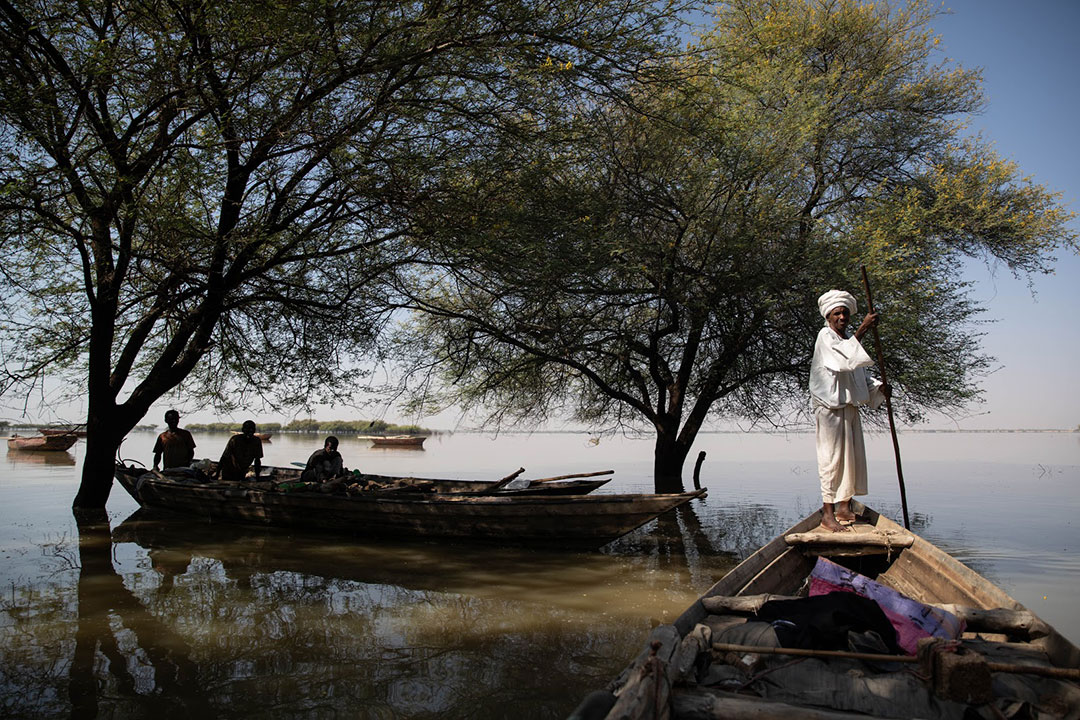 Protecting biodiversity to boost South Sudan’s economy
