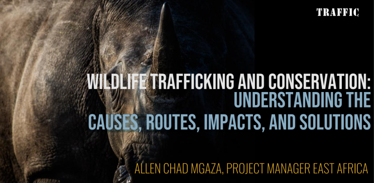 Wildlife Trafficking and Conservation