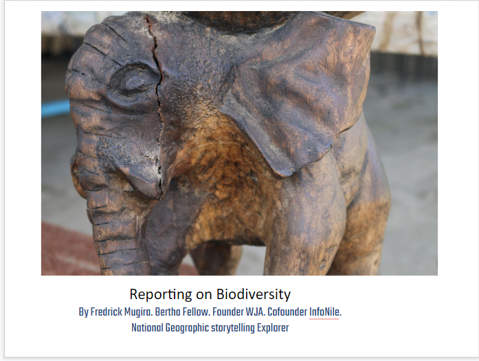 Biodiversity Crisis