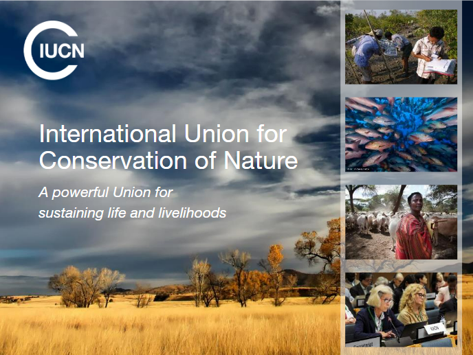 IUCN